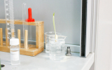 Galerija6_Biology_Chemistry_IS Galerija6_Biology_Chemistry_IS