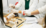 Galerija9_Biology_Chemistry_IS Galerija9_Biology_Chemistry_IS