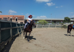 IMG_20190910_123608_BURST7