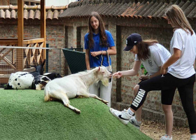 galerija-2 galerija-2