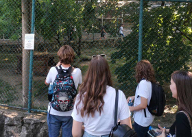 galerija-3 galerija-3