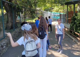 galerija-5 galerija-5