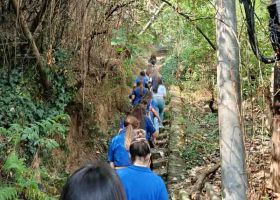 IMG_20250904_113441 IMG_20250904_113441