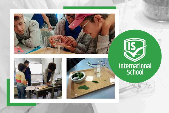 is-vest-pigment-slajfna